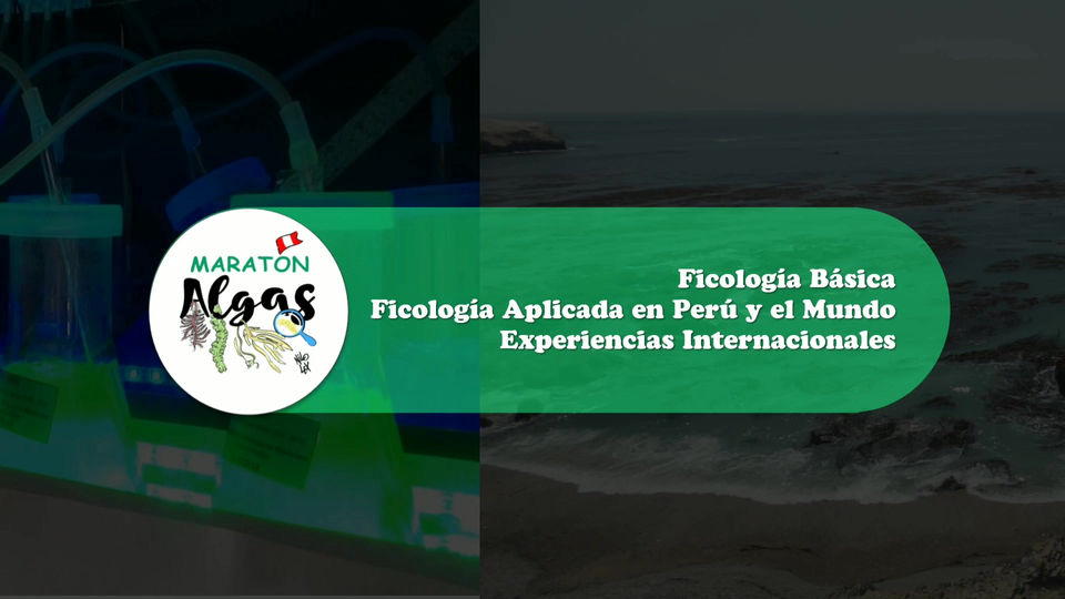 Ejes Temáticos - Maratonalgas Perú 2021 -WIX-MelissaDOSSantos
